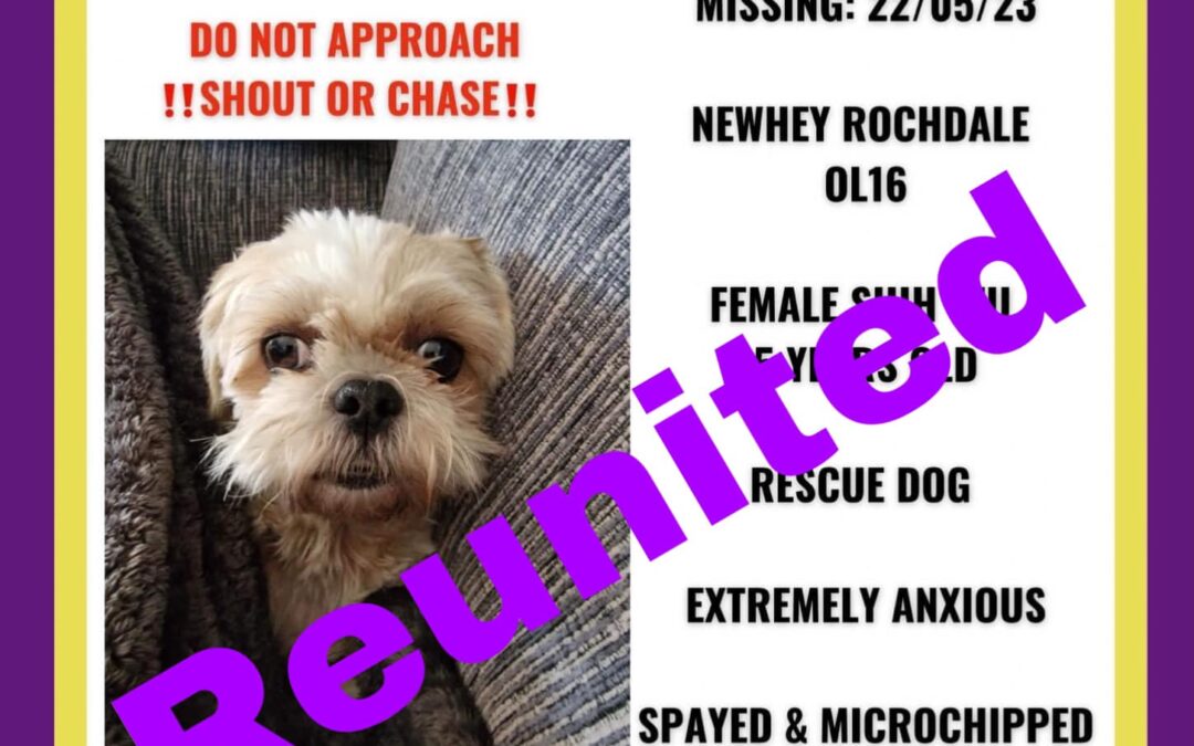 Dory’s Success Story May 2023