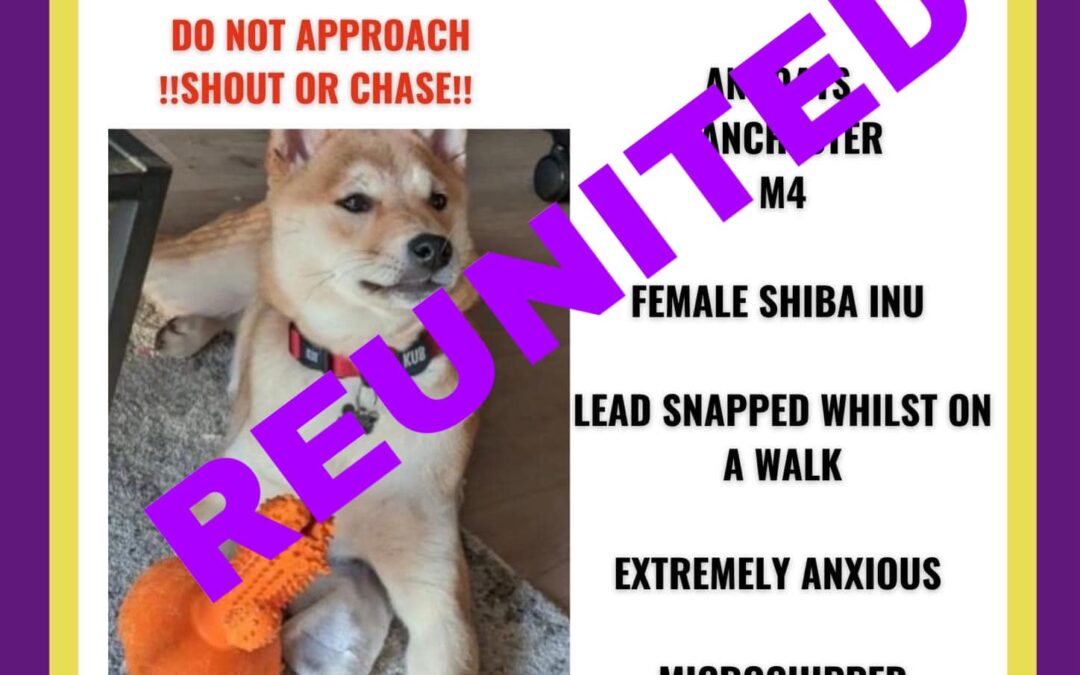 Bean’s Success Story May 2023