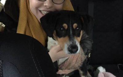 Reynard’s Success Story February 2018