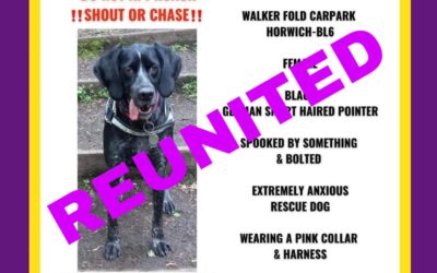 Raya’s Success Story June 2023