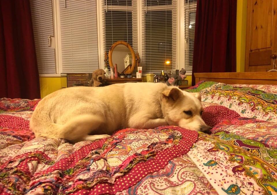 Alyssa’s Success Story December 2018