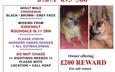 Mister’s Success Story January 2020