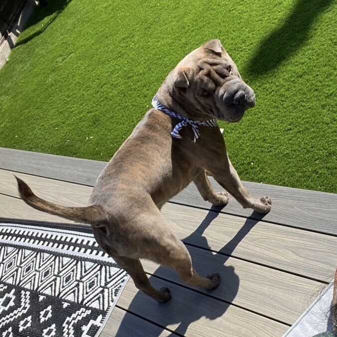 Pep’s Success Story June 2023