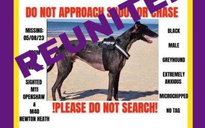 Iggy’s Success Story August 2023