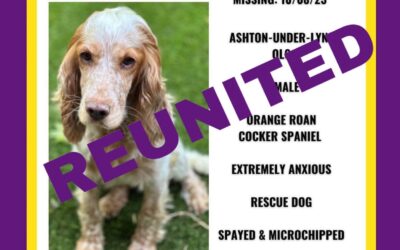 Nellie’s Success Story August 2023