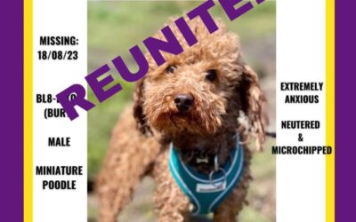 Jetson’s Success Story August 2023