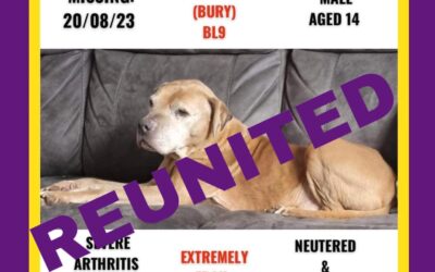 Kaos’ Success Story August 2023