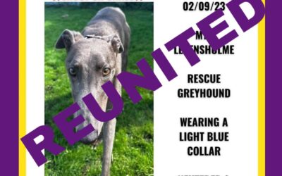 Boo’s Success Story September 2023