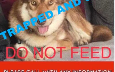 Akira’s Success Story September 2023