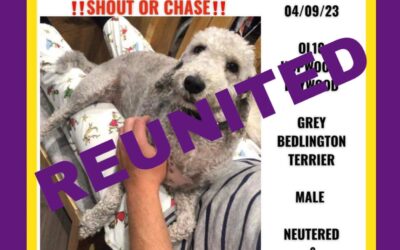 Sid’s Success Story September 2023