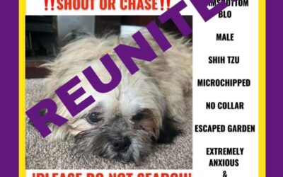 Benji’s Success Story September 2023