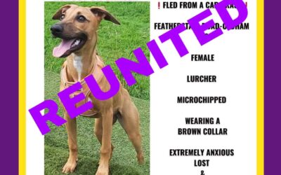 Sassy’s Success Story October 2023