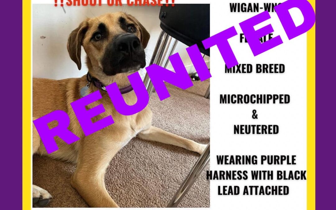 Molly’s Success Story October 2023