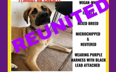 Molly’s Success Story October 2023