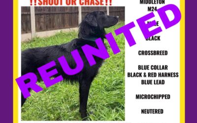 Jamie’s Success Story October 2023