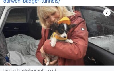 Tara’s Success Story November 2023