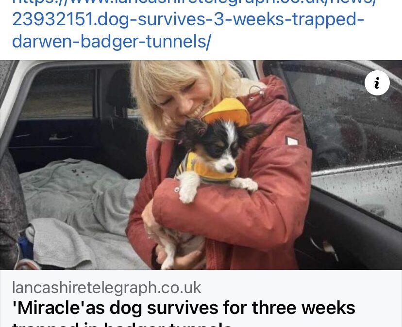 Tara’s Success Story November 2023