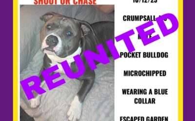 Blue’s Success Story December 2023