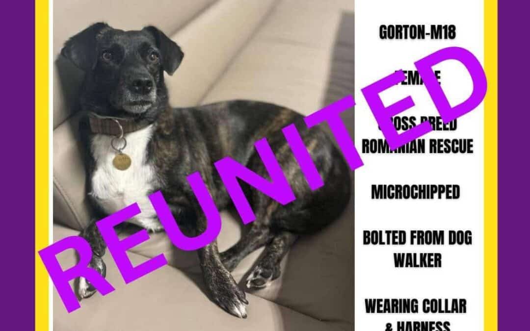 Pippa’s Success Story October 2024